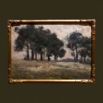 Paisaje sueco